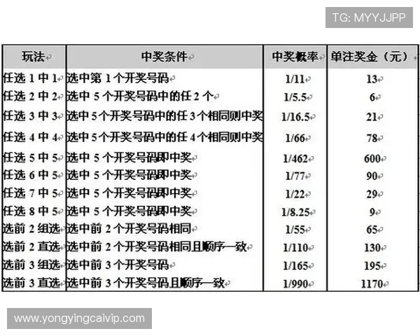 掌握十一选五投注技巧轻松提高中奖概率全解析